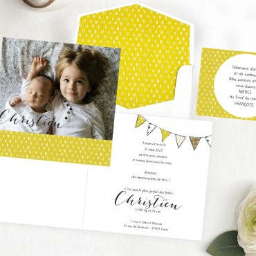 Faire Part Naissance 216003