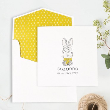 Faire Part Naissance 216011